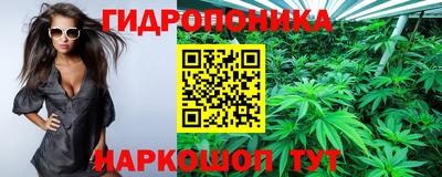 jwh Владивосток
