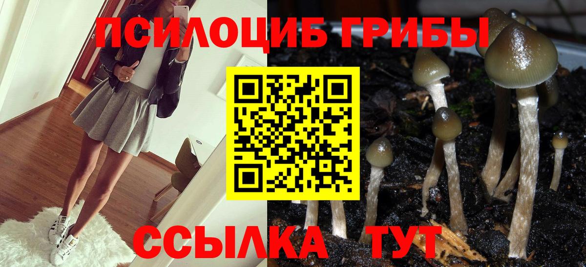 Коряжма  Галлюциногенные грибы Magic Shrooms  Вход с VPN 