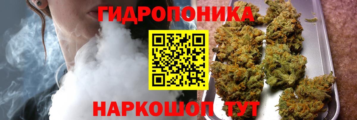 МАРИХУАНА конопля Коряжма